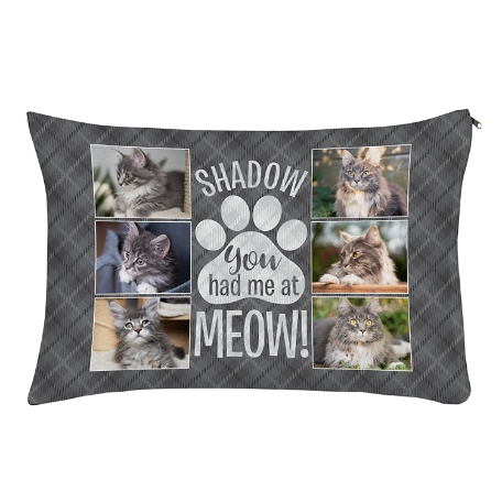 You Had Me At Meow! Photo Pet Bed-Small-Gray