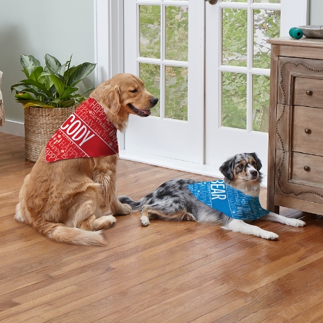 Happy Birthday Pet Bandana