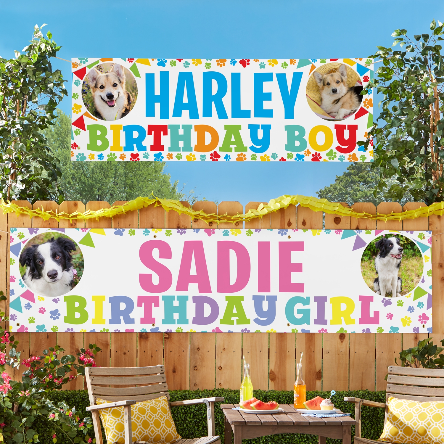 It's My Birthday Pet Banner