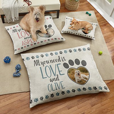 All You Need is Love Photo Pet Bed