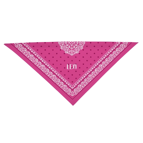 Any Message Pet Bandana - Pink - L