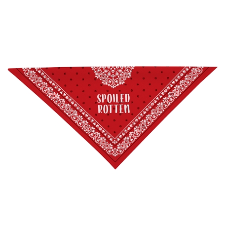 Any Message Pet Bandana - Red - S
