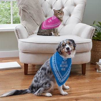 Any Message Pet Bandana