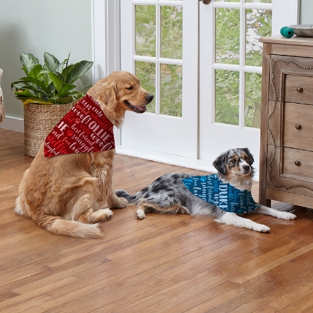 Best Friend Pet Bandana