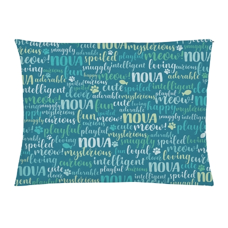 Best Friend Pet Bed - Cat -Large-Teal