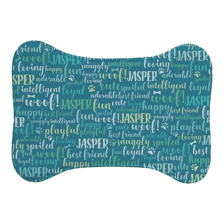 Best Friends Pet Feeding Mat - Bone - Small - Teal