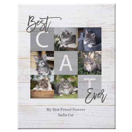 Best Cat Ever Photo Canvas - 16x20