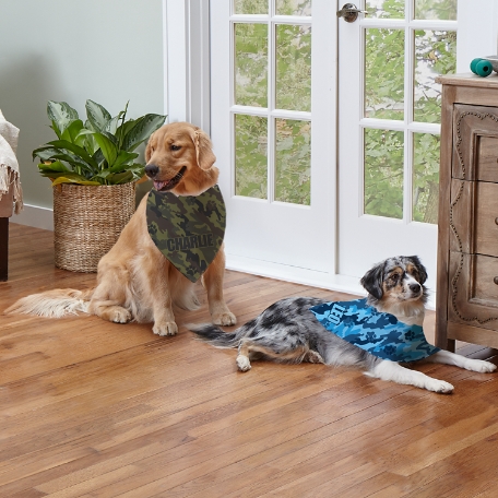 Camo-Paws Pet Bandana