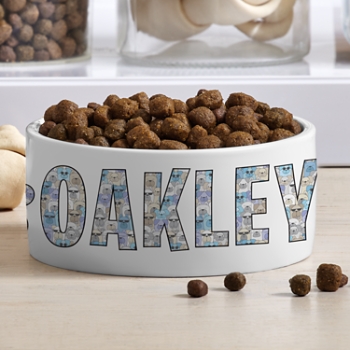 Cool Cats and Dogs  Pet Bowl