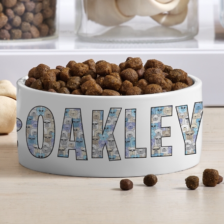 Cool Cats and Dogs  Pet Bowl