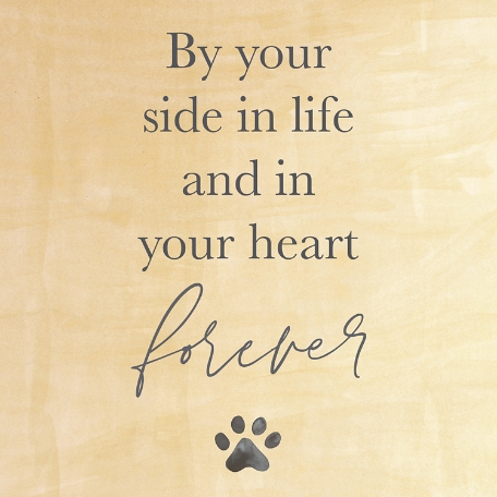 Paw Print Gift Card