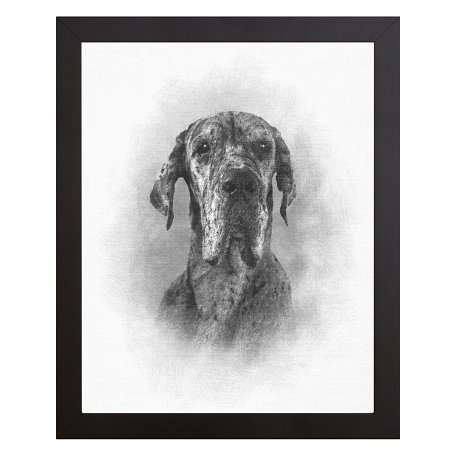 Sketch Pet Portrait-Framed-11x14