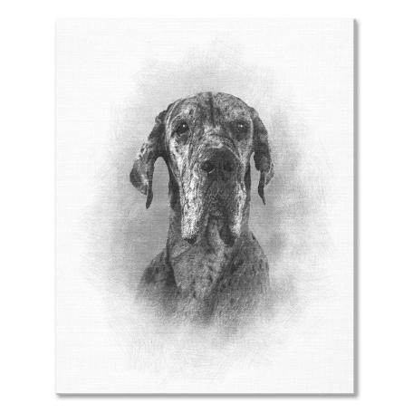 Sketch Pet Portrait-Unframed-16x20