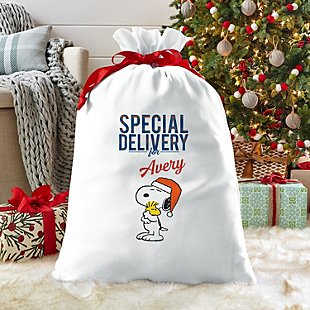 PEANUTS® Snoopy™ & Woodstock™ Special Delivery Oversized Gift Bag