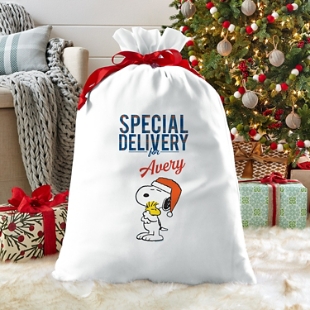 PEANUTS® Snoopy™ & Woodstock™ Special Delivery Oversized Gift Bag