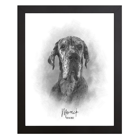 Sketch Pet Portrait-Framed-Name & Date-11x14