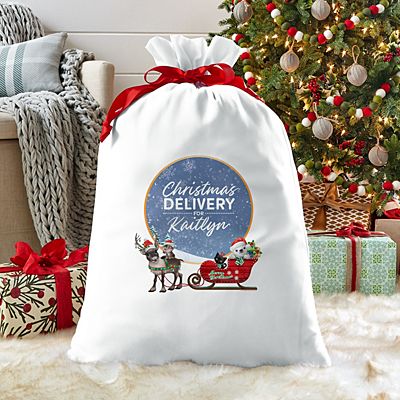 Animal Club International™  Baby Animals Christmas Delivery Oversized Gift Bag