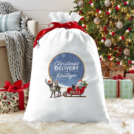 Animal Club International™ Baby Animals Christmas Gift Bag