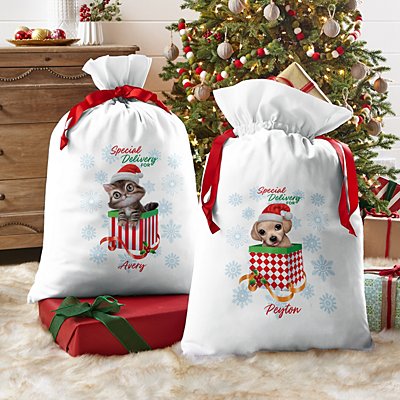 Animal Club International™ Oversized Holiday Gift Bag