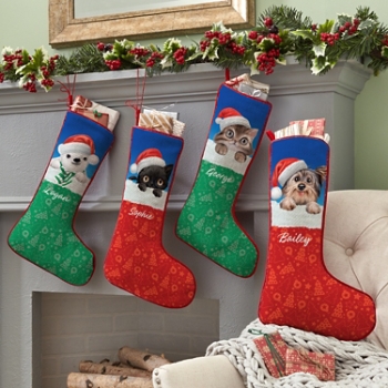 Animal Club International™ Santa Hat Baby Animals Stocking