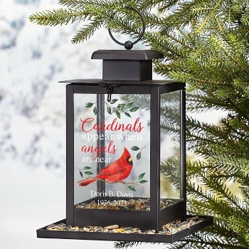 Cardinals Appear When Angels Are Near Bird Feeder