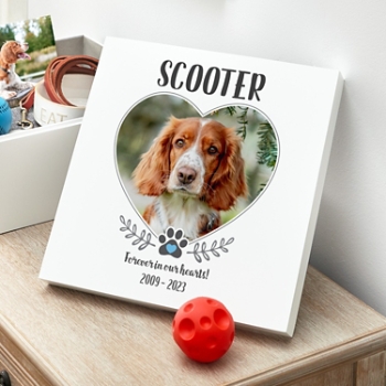 Pet Photo Memorial Keepsake Box