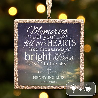 TwinkleBright® LED Memories of You Ornament