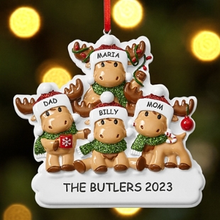 Personalized Pet Christmas Ornaments