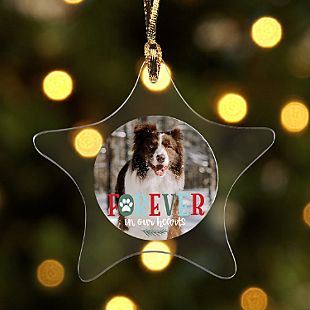Forever In Our Hearts  Pet Photo Star Ornament