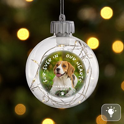 In Our Hearts Pet Photo Memorial Fairy Lights Ornament