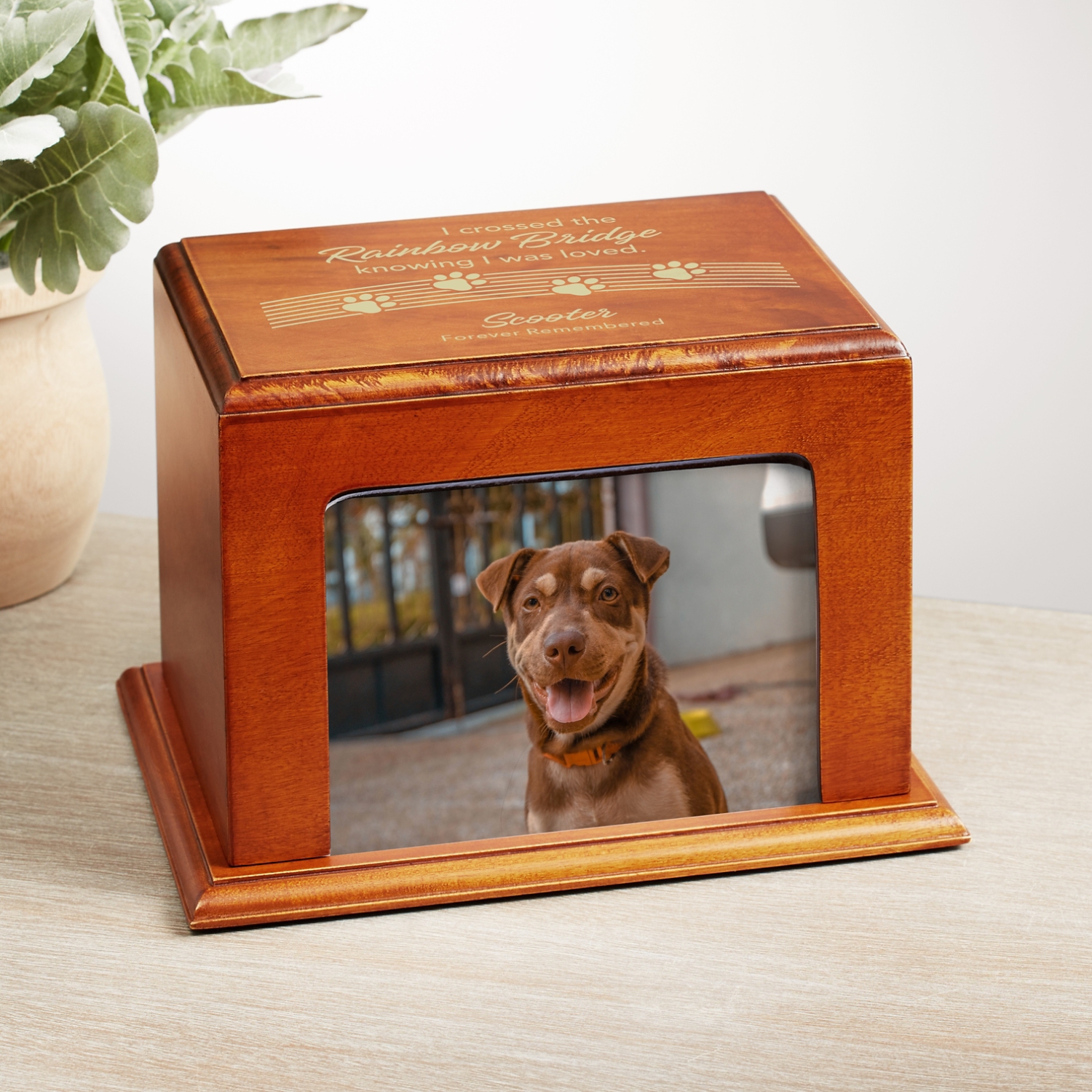 Over the Rainbow Bridge Wood Frame Pet Cremation Urn