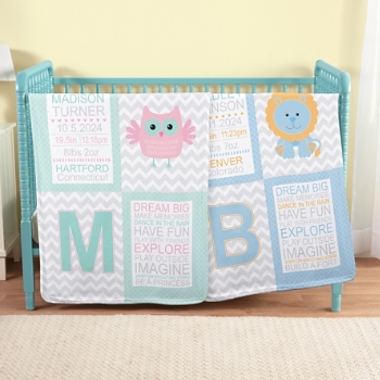 Chevron Baby Information Blanket