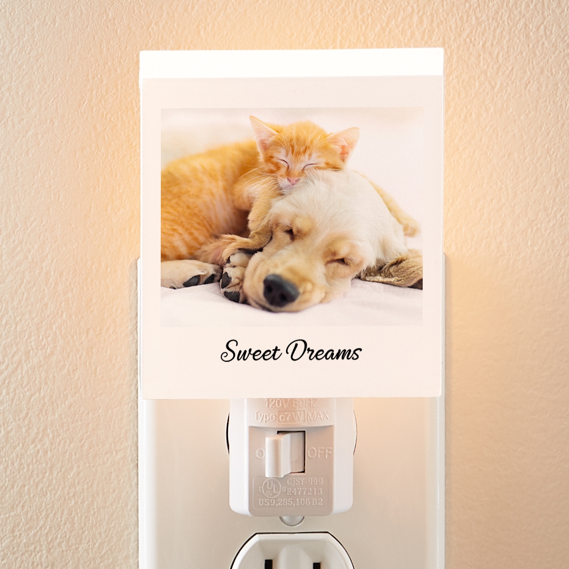 Picture-Perfect Photo Nightlight