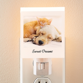 Picture-Perfect Photo Nightlight