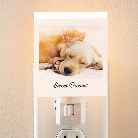 Picture-Perfect Photo Nightlight