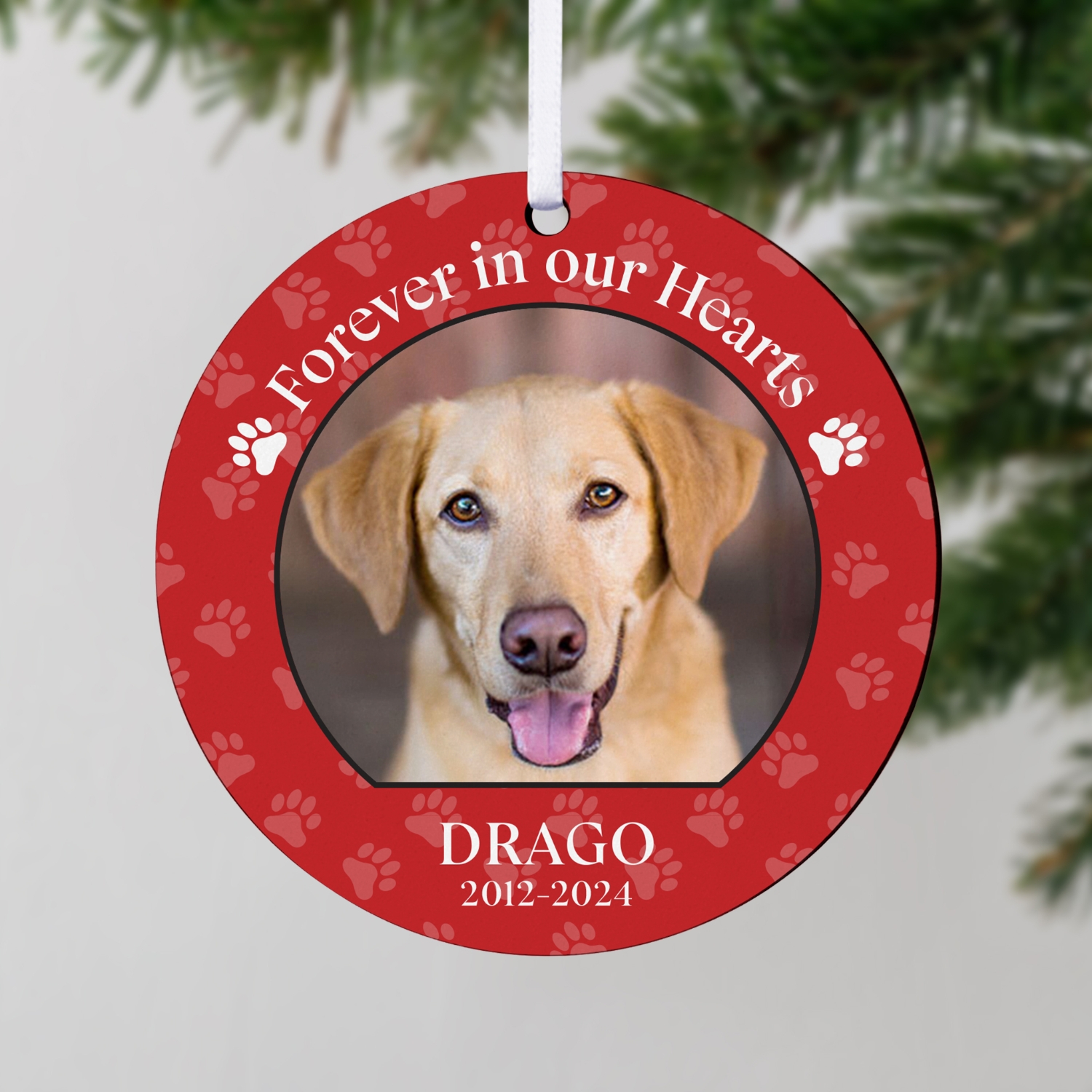 Pet Memorial Photo Round Ornament