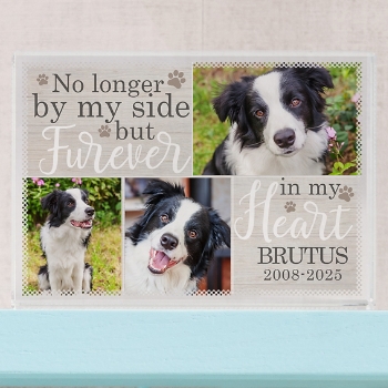 Forever Loved Photo Pet Memorial Personalized Glass Block