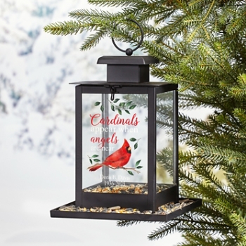 Cardinals Appear When Angels Are Near Bird Feeder