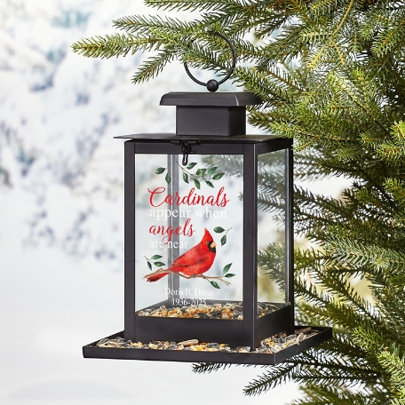 Cardinals Appear When Angels Are Near Bird Feeder