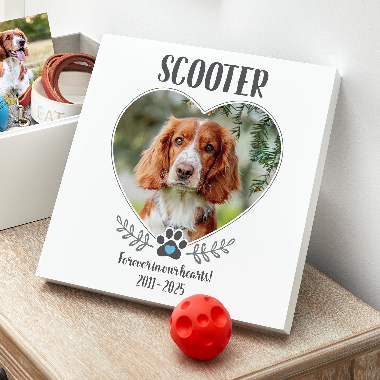 Pet Picture Keepsake Memorial Box