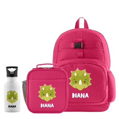 Cheerful Animals Backpack + Lunch Box + Water Bottle - Pink - Dinosaur