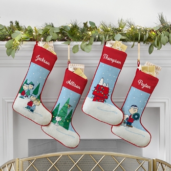 PEANUTS® Snowy Day Stocking