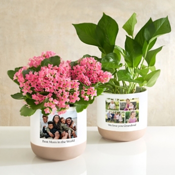 We Love You Photo Planter