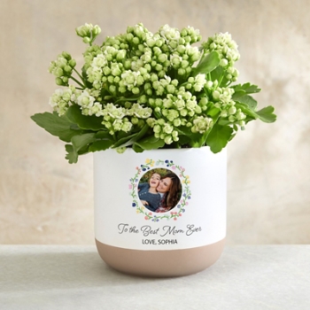 Best Ever Floral Photo Planter