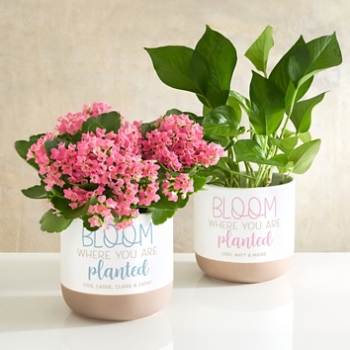 Bloom Where You Are Planter