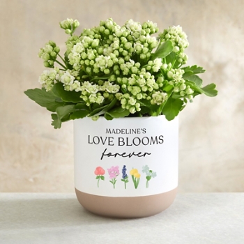 Love Blooms Forever Planter