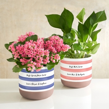 Striped Message Planter