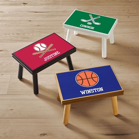 Sports Champ Step Stool