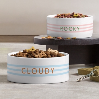 Large Stripes Pet Bowl