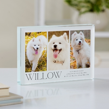 Best Friend Pet Photo Glass Block